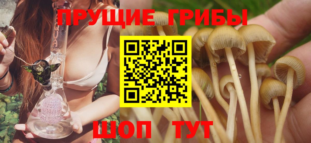 Галлюциногенные грибы прущие грибы Избербаш