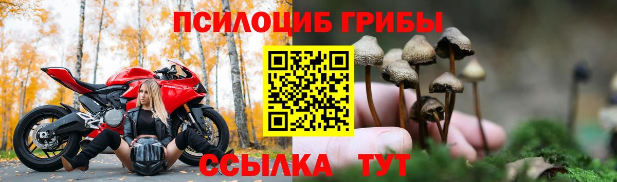 Избербаш  Галлюциногенные грибы ЛСД  Вход с VPN 