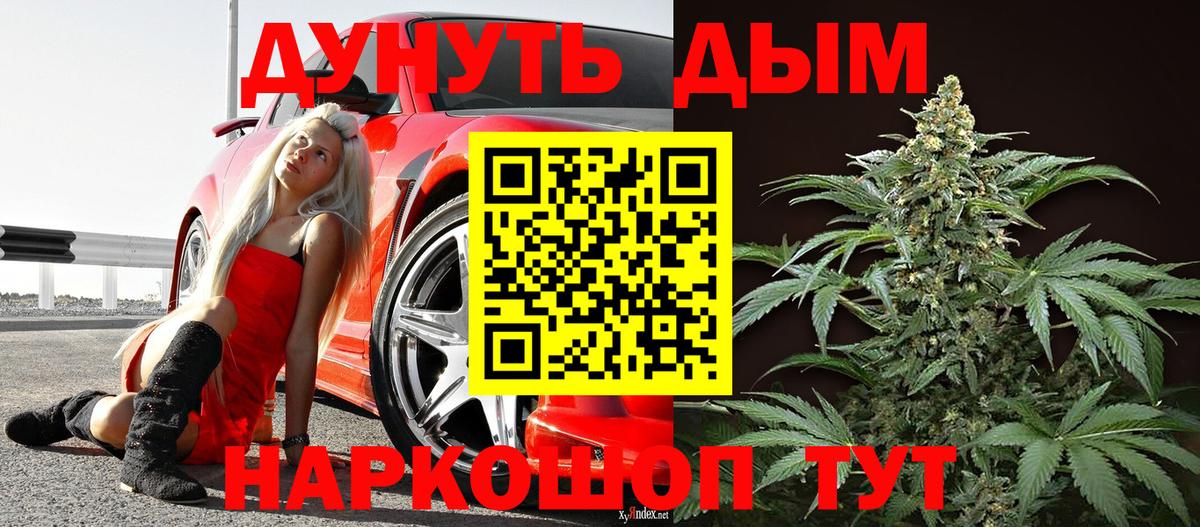 Каннабис конопля Избербаш